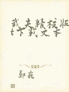 武夫精校版txt下载文本