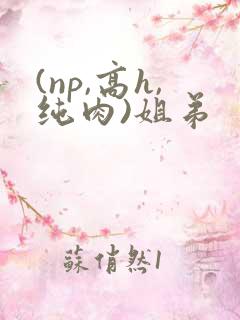 (np,高h,纯肉)姐弟