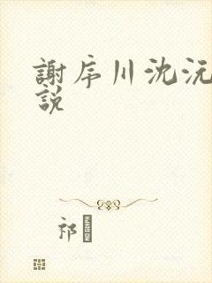 谢序川沈沅珠小说