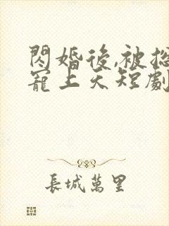 闪婚后,被总裁宠上天短剧全集最新章