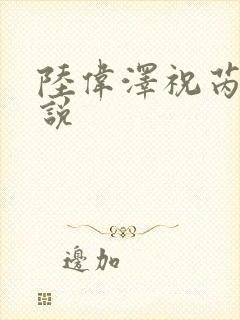 陆伟泽祝芮澜小说