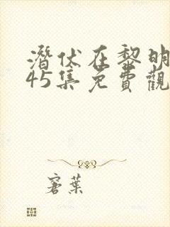 潜伏在黎明之前45集免费观看