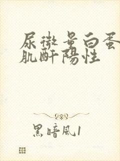 尿微量白蛋白/肌酐阳性