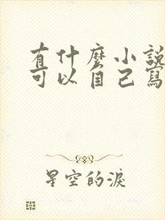 有什么小说软件可以自己写