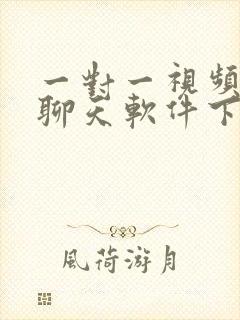 一对一视频交友聊天软件下载