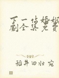 下一站婚姻电视剧全集免费播放