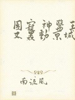 团宠 神医王妃又轰动京城了