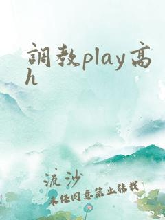 调教play高h