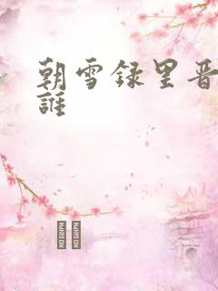朝雪录里晋王是谁