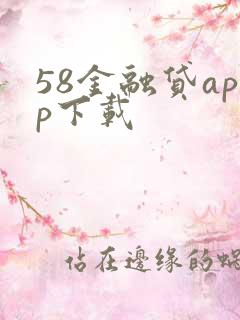 58金融贷app下载