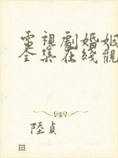 电视剧婚姻攻略全集在线观看完整版