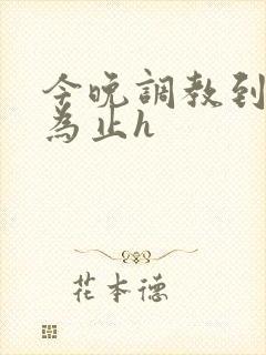 今晚调教到她乖为止h