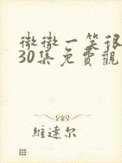 微微一笑很倾城30集免费观看超清