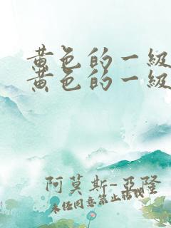 黄色的一级片,黄色的一级片