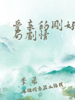 爱来的刚好大结局剧情