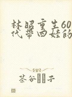 林昭重生60年代带四娃的小说