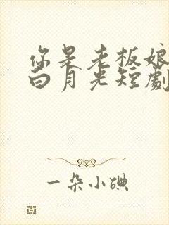 你是老板娘我是白月光短剧演员表