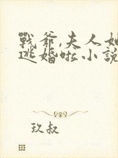 战爷,夫人她又逃婚啦小说