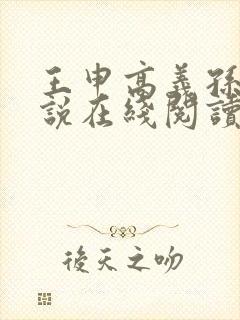 王申高义孙倩小说在线阅读