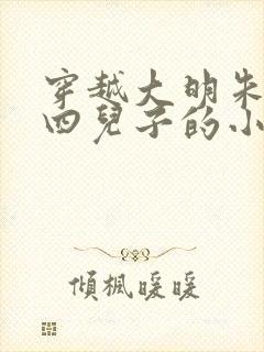 穿越大明朱棣的四儿子的小说