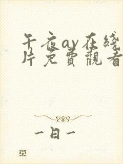 午夜av在线毛片免费观看