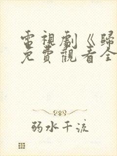 电视剧《归路》免费观看全集高清