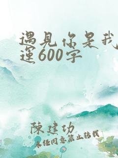 遇见你是我的幸运600字