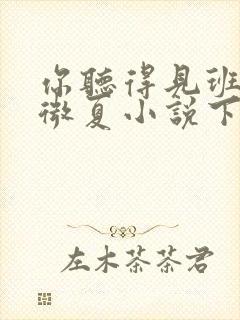 你听得见班盛林微夏小说下载txt