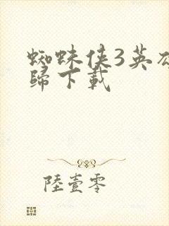 蜘蛛侠3英雄无归下载