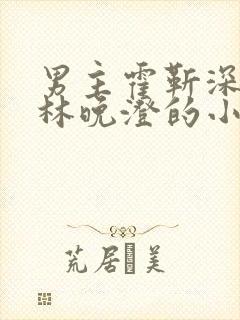 男主霍靳深女主林晚澄的小说