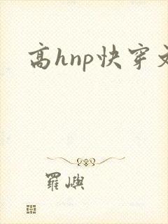 高hnp快穿文