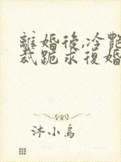 离婚后,冷艳总裁跪求复婚免费全文下载