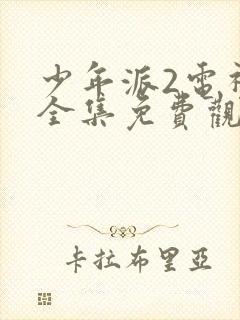 少年派2电视剧全集免费观看