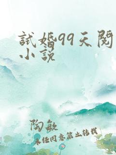 试婚99天阅读小说