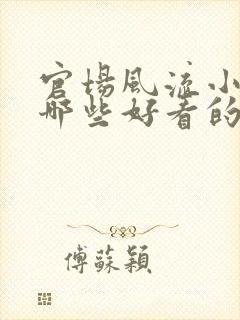 官场风流小说有哪些好看的