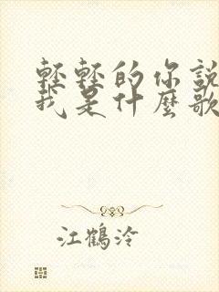 轻轻的你说的爱我是什么歌