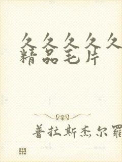 久久久久久国产精品毛片