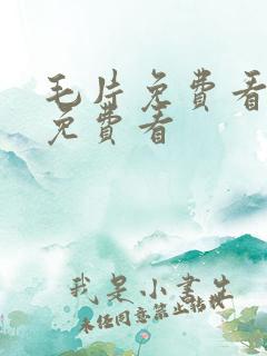 毛片免费看毛片免费看