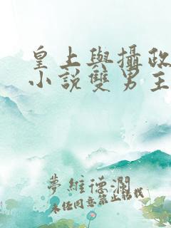 皇上与摄政王的小说双男主