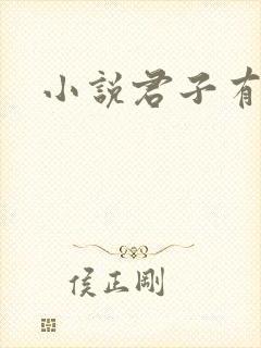 小说君子有九思