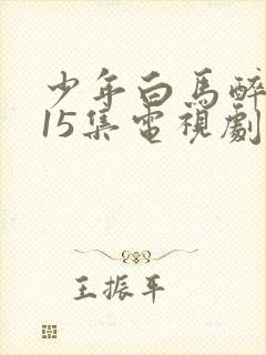 少年白马醉春风15集电视剧