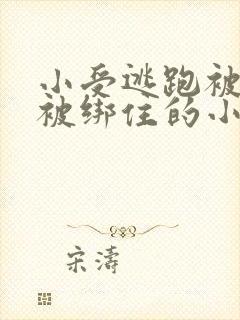 小受逃跑被囚禁被绑住的小说