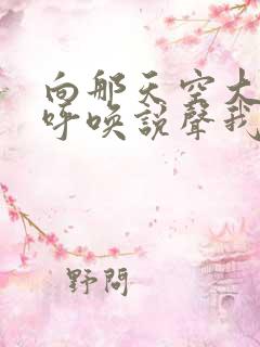 向那天空大声的呼唤说声我爱你歌词