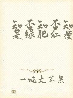 知否知否知否应是绿肥红瘦原著叫什么