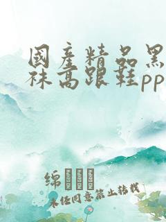 国产精品黑色丝袜高跟鞋pp