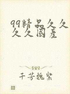 99精品久久久久久国产