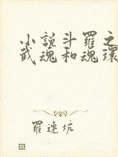 小说斗罗之我的武魂和魂环能自己修炼