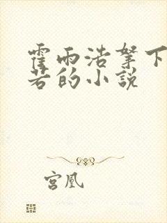 霍雨浩拿下寒若若的小说