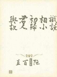 与君初相识恰似故人归小说原著