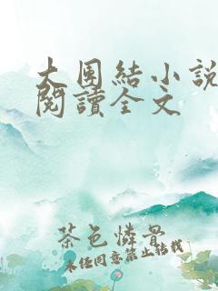 大团结小说在线阅读全文